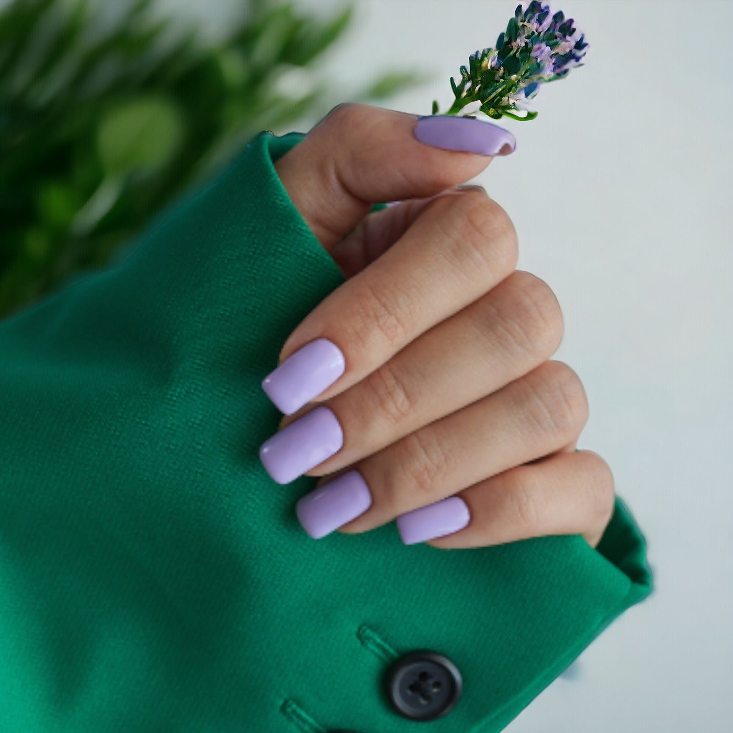 Lavender Dip Powder
